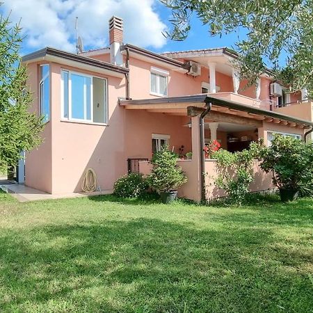 Stelia Leilighet Novigrad Istria Eksteriør bilde